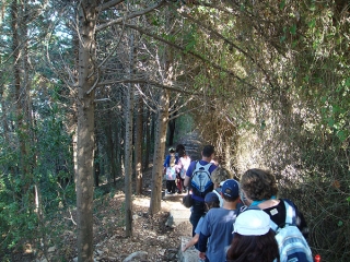  Hiking tour